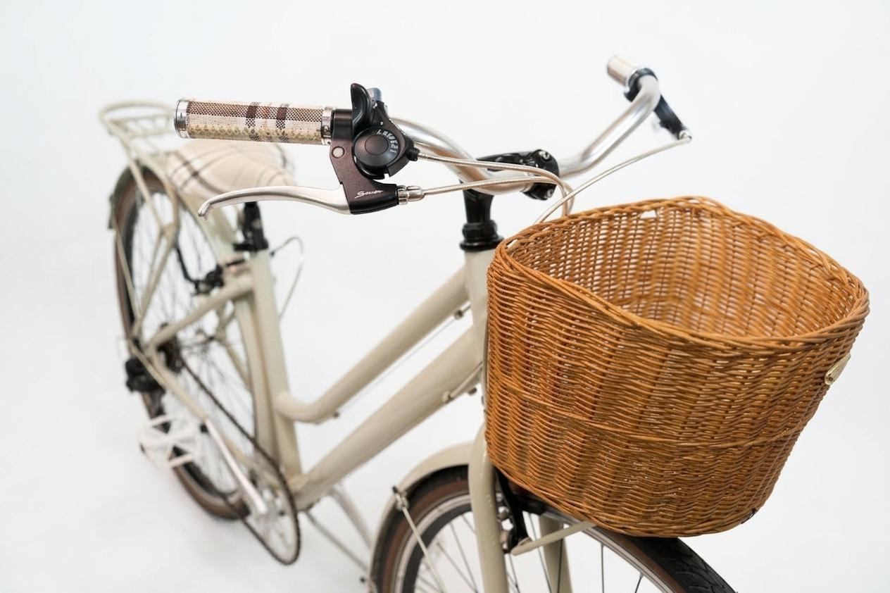 Italian Dressed Up Ladies Commuting Bike