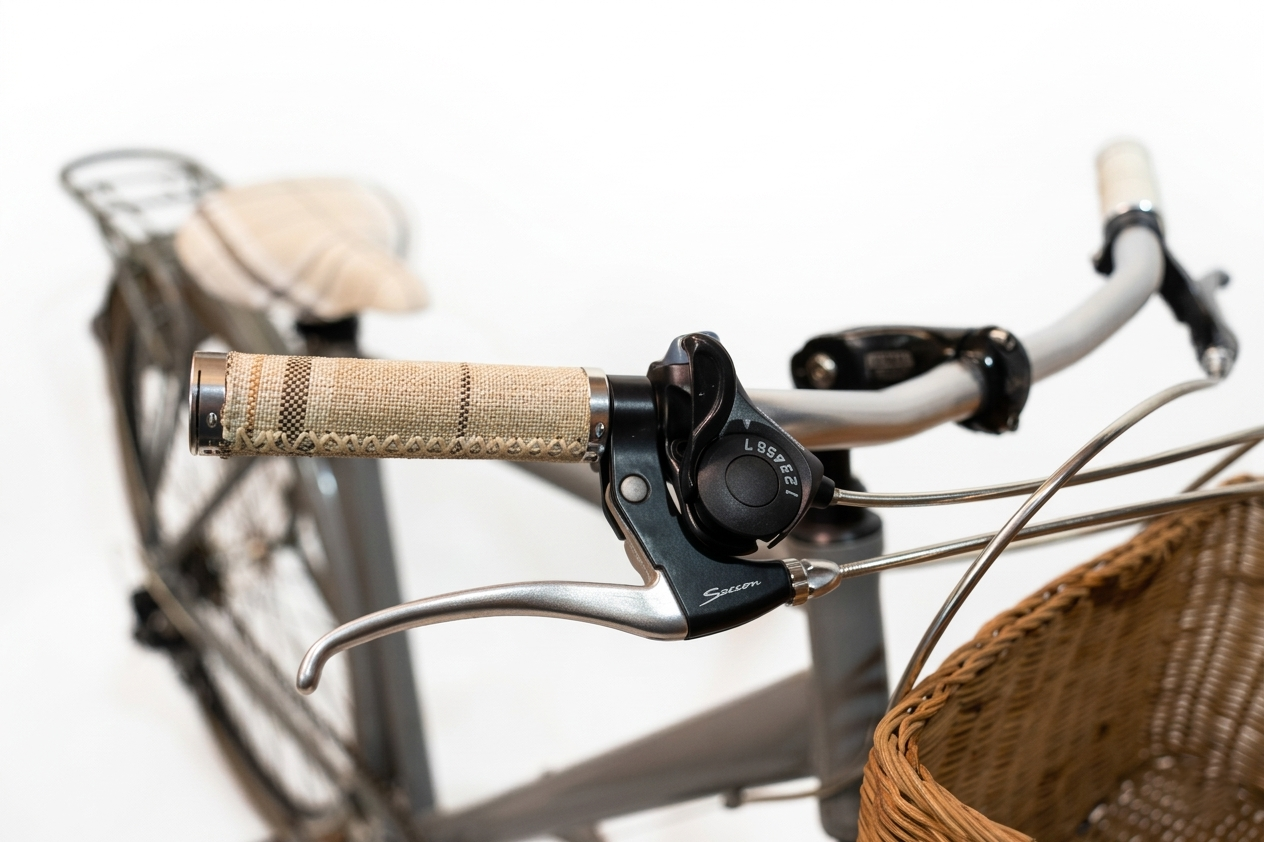 Dressed Up Italian Commuting Bike