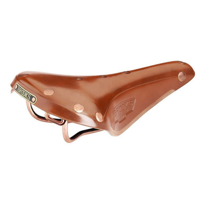 Brooks Saddle B17 Special
