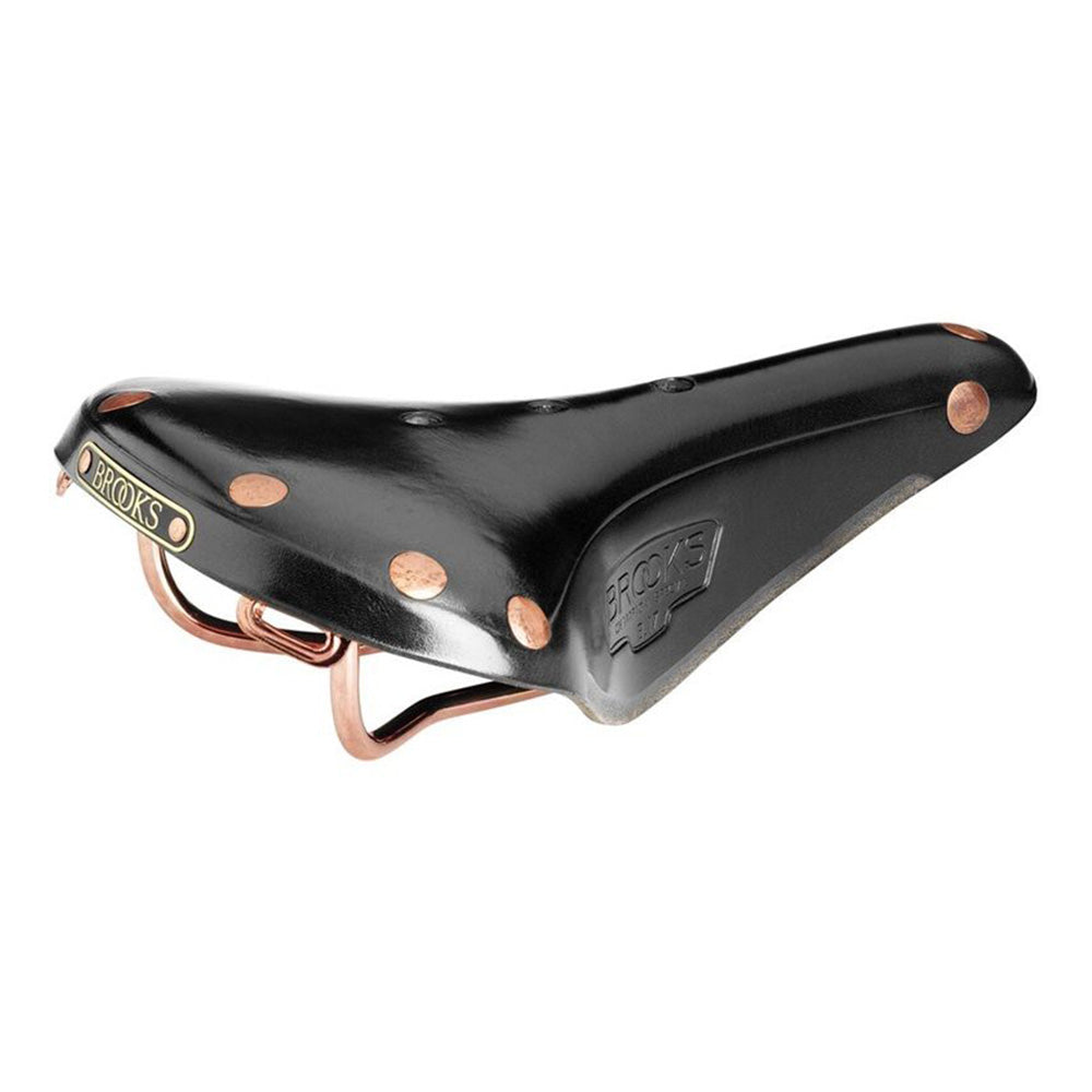 Brooks Saddle B17 Special