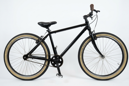 Italian Single Speed Commuting Bike