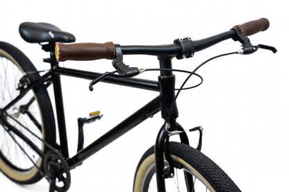 Italian Single Speed Commuting Bike