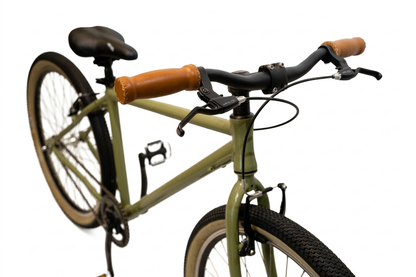 Italian Single Speed Commuting Bike