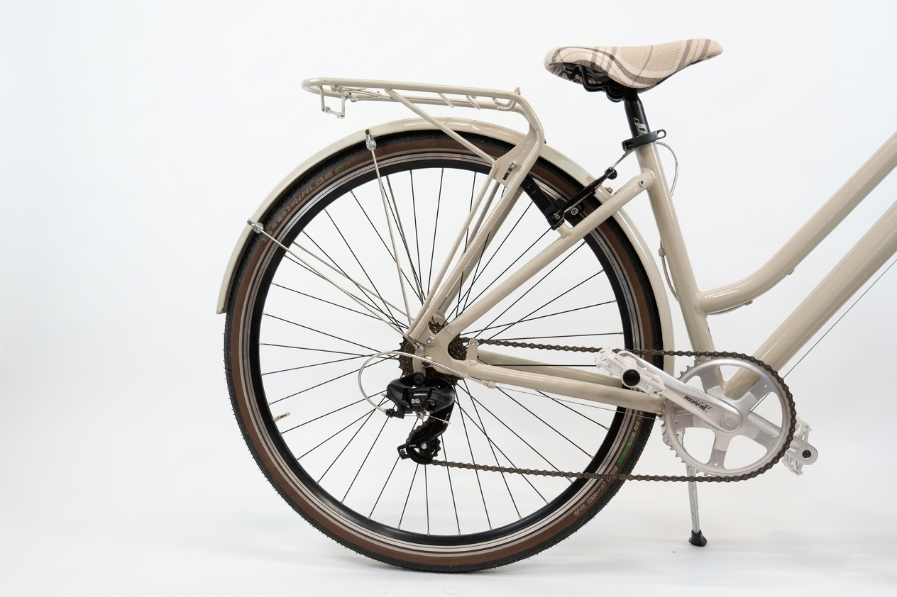 Italian Dressed Up Ladies Commuting Bike