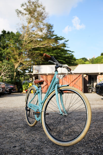 Italian Ladies Commuting Bike