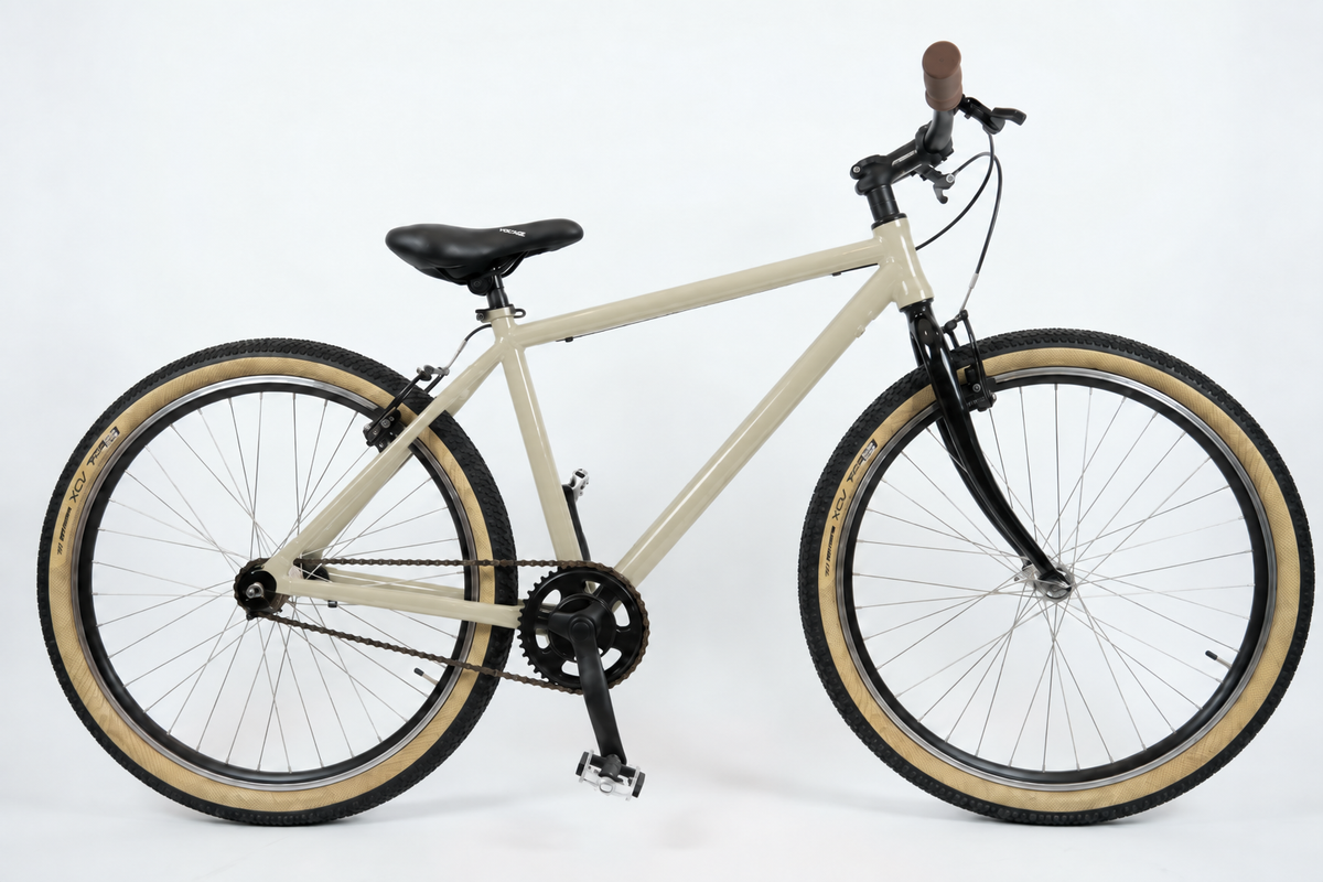 Italian Single Speed Commuting Bike