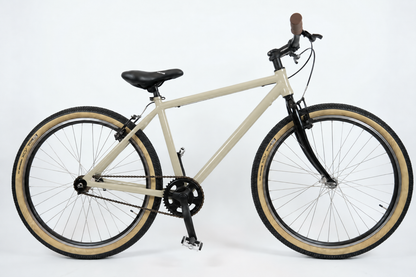 Italian Single Speed Commuting Bike